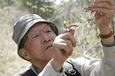 おおいたの野生植物を未来へつなぐプロジェクトのプレスリリース画像1