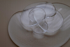 グローエジャパン株式会社のプレスリリース画像2