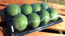 なおとフェイジョア園のプレスリリース画像5