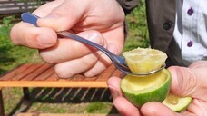 なおとフェイジョア園のプレスリリース画像4