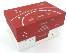 株式会社アクセラレート・バイオのプレスリリース画像1