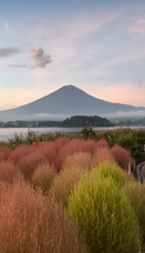 旅でるのプレスリリース画像6