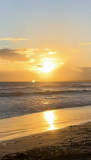 旅でるのプレスリリース画像4