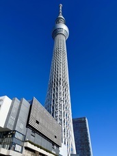 旅でるのプレスリリース画像11