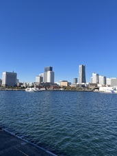 旅でるのプレスリリース画像10