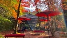 旅でるのプレスリリース画像6