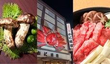 旅でるのプレスリリース画像3