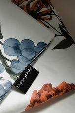 株式会社N2ホールディングスのプレスリリース画像1