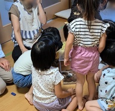 インセクトファミリー　古谷のプレスリリース画像1