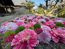 一般社団法人八幡市観光協会のプレスリリース画像1
