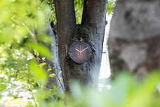 株式会社真工社のプレスリリース画像1