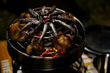 株式会社トゥエルブトーンのプレスリリース画像4