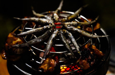 株式会社トゥエルブトーンのプレスリリース画像16