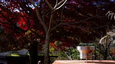 株式会社トゥエルブトーンのプレスリリース画像4