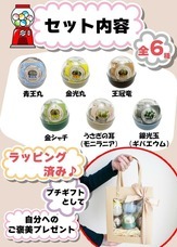 株式会社ホームショッピングのプレスリリース画像1