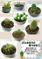 株式会社ホームショッピングのプレスリリース画像2