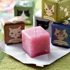 株式会社ホームショッピングのプレスリリース画像3