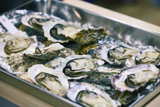 一般社団法人 全国牡蠣協議会のプレスリリース画像4