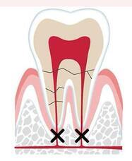 関口歯科のプレスリリース画像1