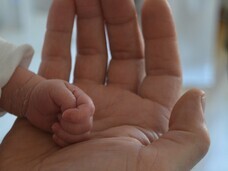 燕物産株式会社のプレスリリース画像3