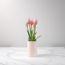 株式会社いろはサービスのプレスリリース画像10