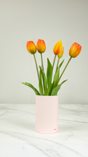 株式会社いろはサービスのプレスリリース画像6