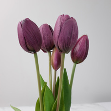 株式会社いろはサービスのプレスリリース画像15