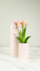 株式会社いろはサービスのプレスリリース画像17