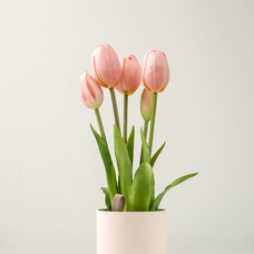 株式会社いろはサービスのプレスリリース画像11