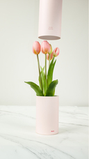 株式会社いろはサービスのプレスリリース画像9