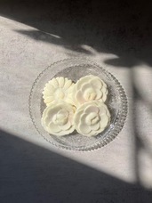 株式会社シュウのプレスリリース画像3