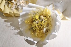 株式会社ハナプロのプレスリリース画像1