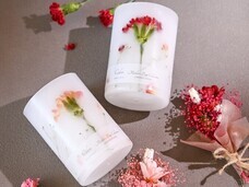 株式会社ハナプロのプレスリリース画像1