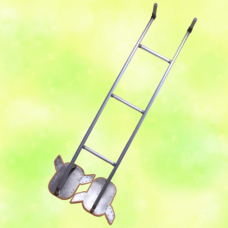 日本自然観察ネットワークのプレスリリース画像2