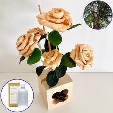 Lasys&amp;カンパニー合同会社のプレスリリース画像3