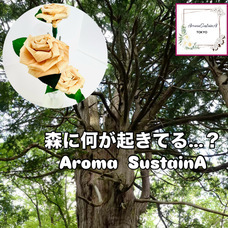 Lasys&amp;カンパニー合同会社のプレスリリース画像5