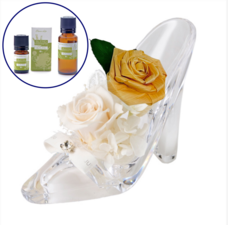 Lasys&amp;カンパニー合同会社のプレスリリース画像10