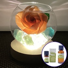 Lasys&amp;カンパニー合同会社のプレスリリース画像5