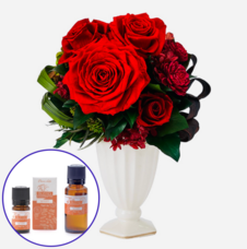 Lasys&amp;カンパニー合同会社のプレスリリース画像6