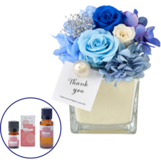 Lasys&amp;カンパニー合同会社のプレスリリース画像3