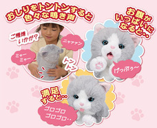 イワヤ株式会社のプレスリリース画像2