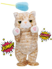 イワヤ株式会社のプレスリリース画像1