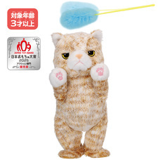 イワヤ株式会社のプレスリリース画像4