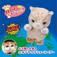 イワヤ株式会社のプレスリリース画像1