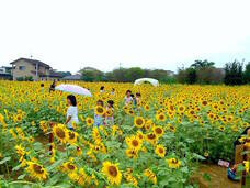 株式会社THEATER0のプレスリリース画像1