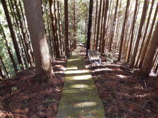 小松神社のプレスリリース画像4