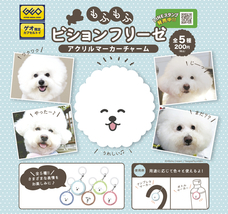 インフィニタスコネクト合同会社のプレスリリース画像1