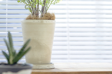 有限会社ポッシュリビングのプレスリリース画像2