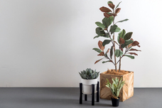 有限会社ポッシュリビングのプレスリリース画像2