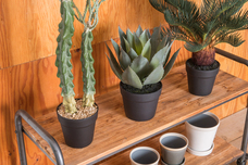 有限会社ポッシュリビングのプレスリリース画像3